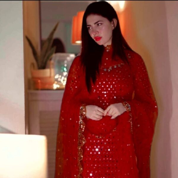 Dinero Outlet 2-Piece Unstitched Chiffon Suit – Embroidered Shirt & Dupatta with Sequence & Cutwork - Image 8